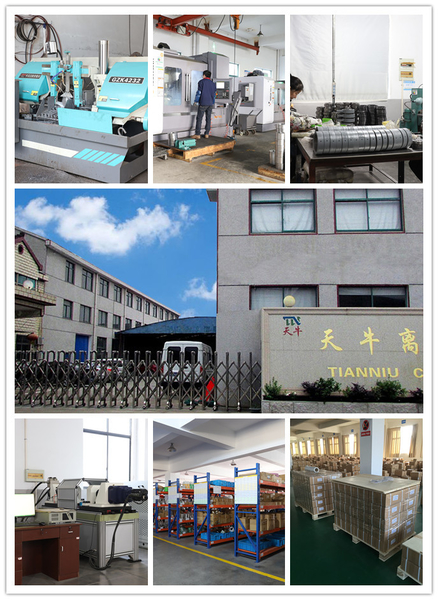 Changzhou TIANNIU Transmission Equipment Co., Ltd